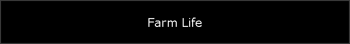 Farm Life