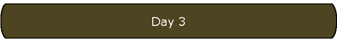 Day 3