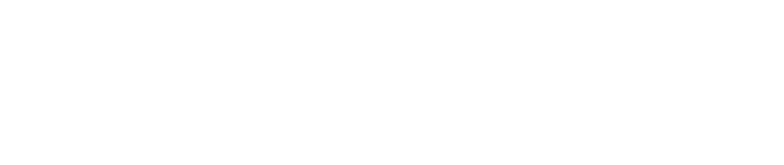The Henry Ford