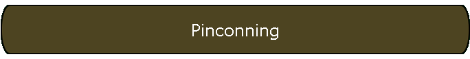 Pinconning