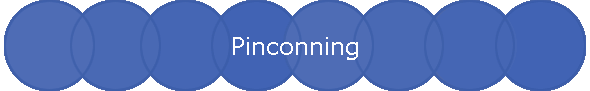 Pinconning