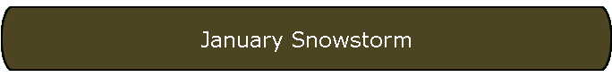 January Snowstorm