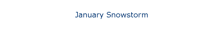 January Snowstorm