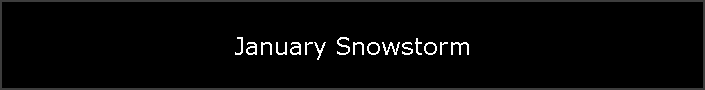 January Snowstorm