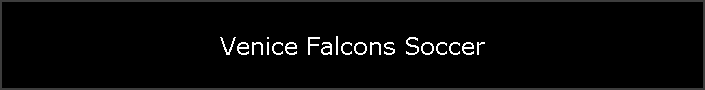 Venice Falcons Soccer