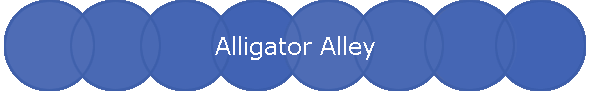 Alligator Alley