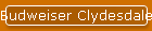 Budweiser Clydesdales