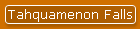 Tahquamenon Falls