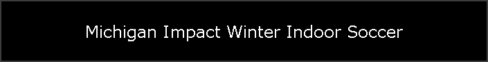 Michigan Impact Winter Indoor Soccer