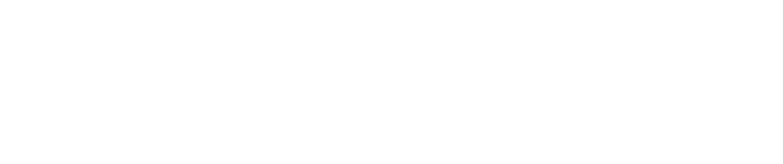 '05 Lapeer Storm