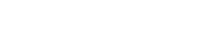 Flint Jr. Firebirds