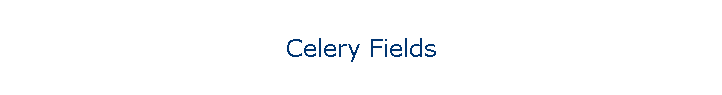 Celery Fields