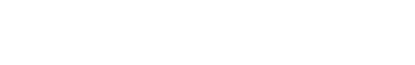Bradenton Holiday Lights