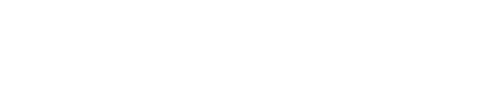 Burton Family Lights