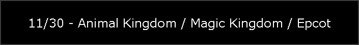 11/30 - Animal Kingdom / Magic Kingdom / Epcot